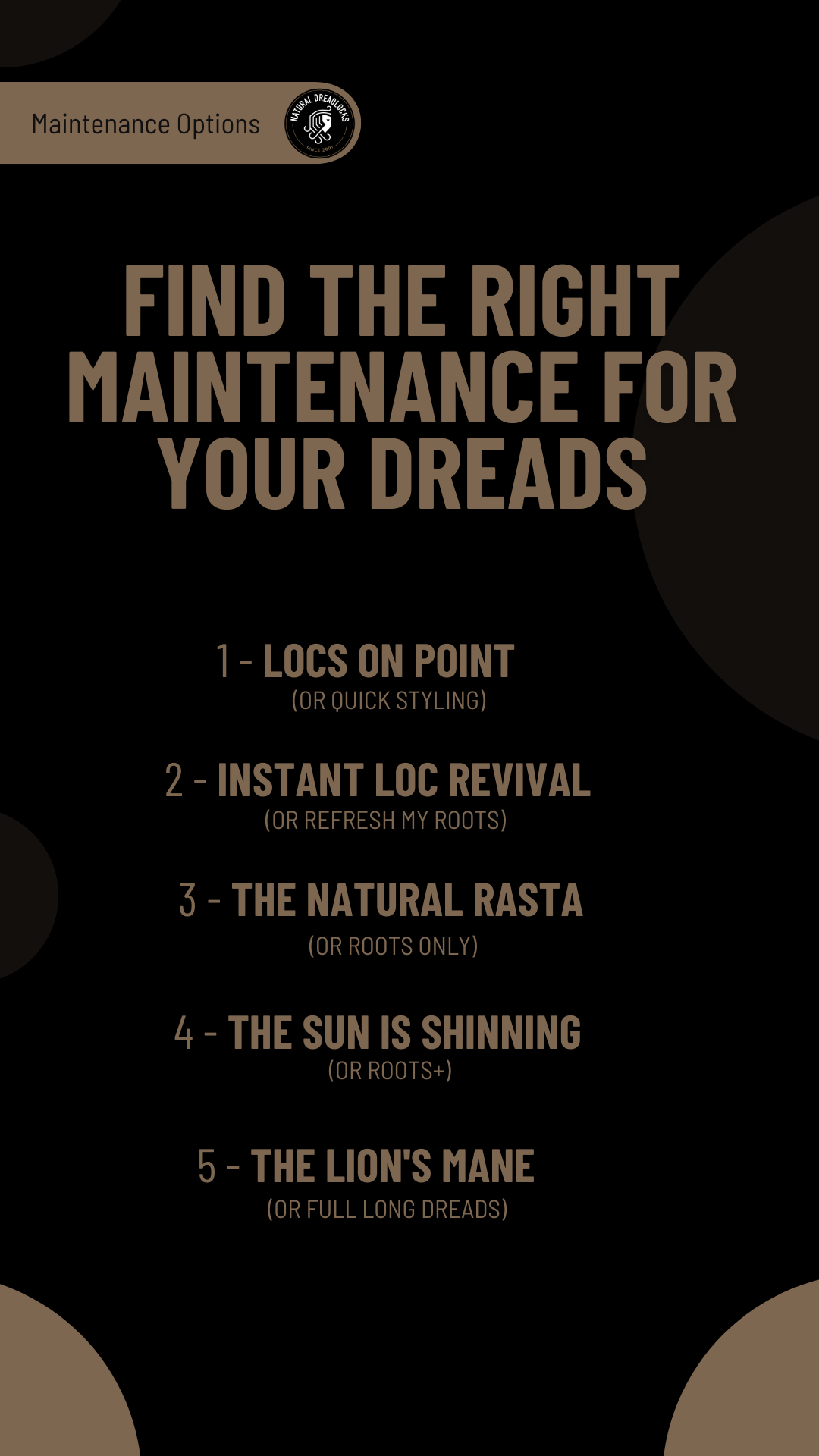 Dreadlock Services &amp; Maintenance
