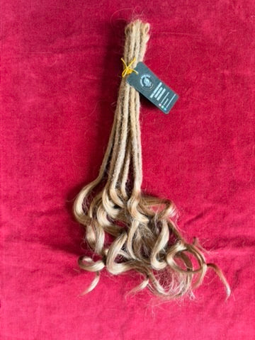 Goddess Locks Honey Blonde 10 Units Bundle